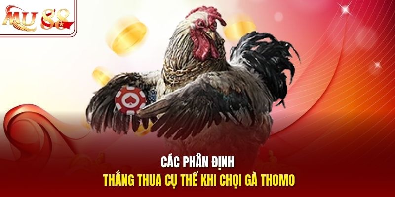 Các phân định thắng thua cụ thể khi chọi gà Thomo
