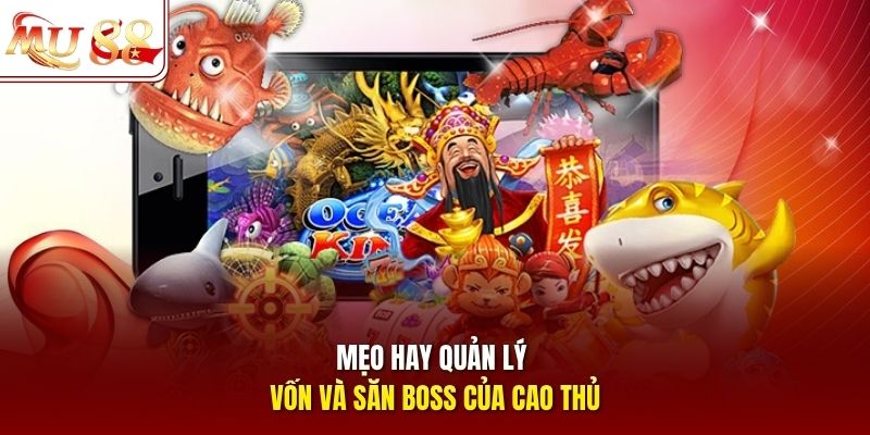 Mẹo hay quản lý vốn và săn boss của cao thủ